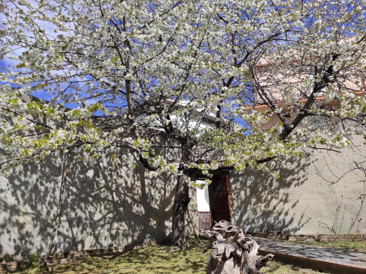 Antica Dimora Palazzo Rovitti Bed and Breakfast Cerchiara di Calabria Buitenkant foto